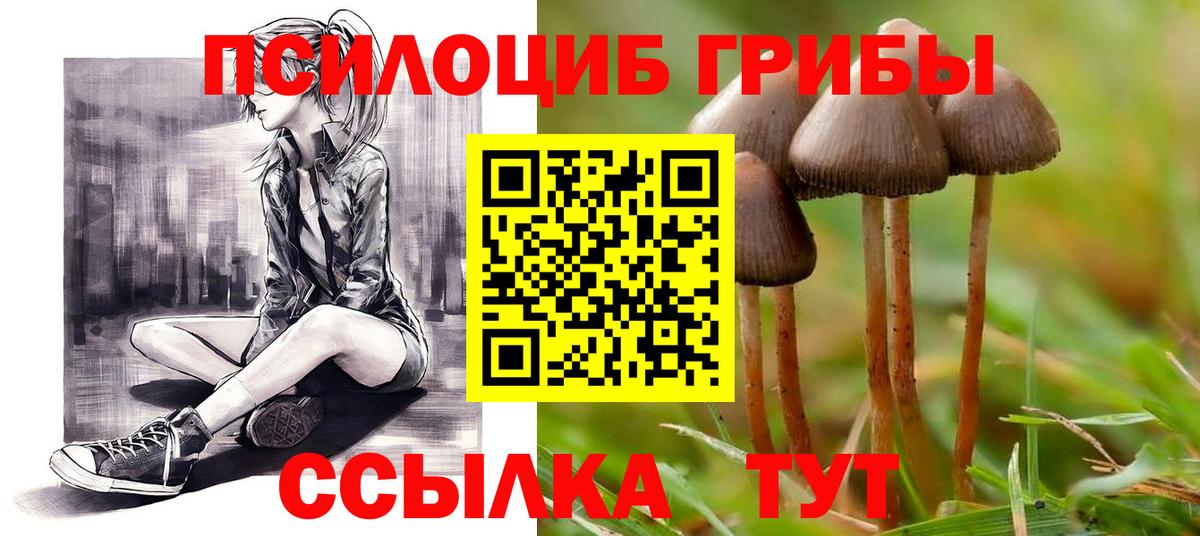 Псилоцибиновые грибы Magic Shrooms  Псилоцибиновые грибы Psilocybe  Вход с VPN  Зима 